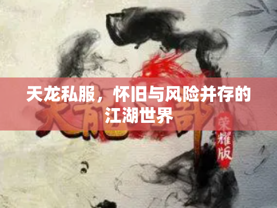 天龙私服，怀旧与风险并存的江湖世界