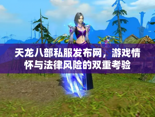 天龙八部私服发布网，游戏情怀与法律风险的双重考验