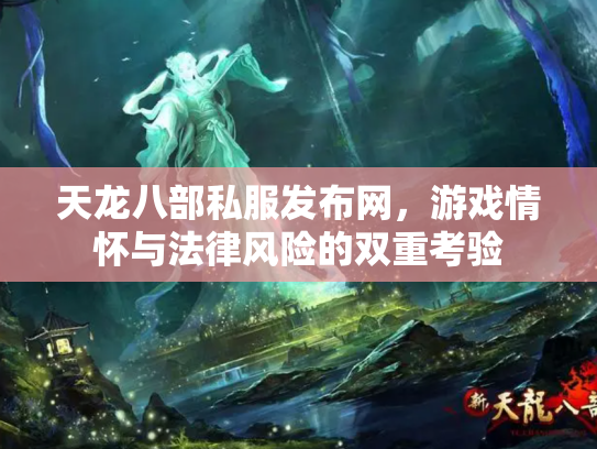 天龙八部私服发布网，游戏情怀与法律风险的双重考验