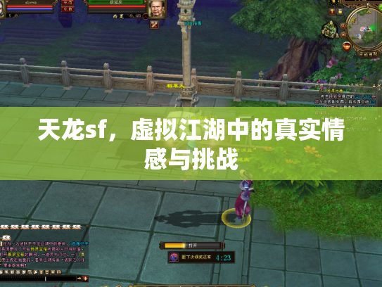 天龙sf，虚拟江湖中的真实情感与挑战