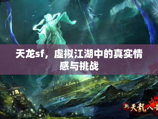 天龙sf，虚拟江湖中的真实情感与挑战