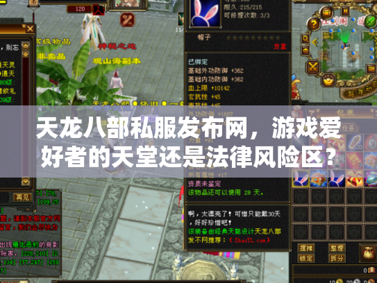 天龙八部私服发布网，游戏爱好者的天堂还是法律风险区？