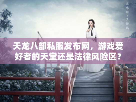 天龙八部私服发布网，游戏爱好者的天堂还是法律风险区？