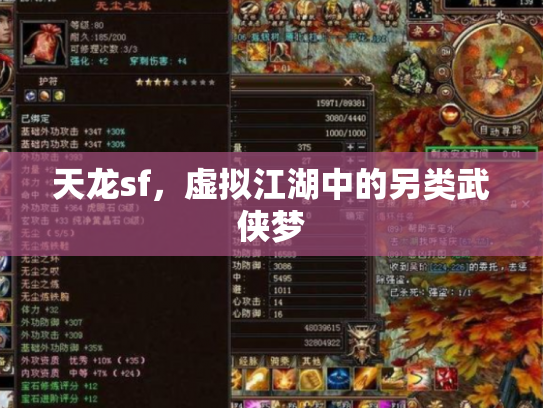 天龙sf，虚拟江湖中的另类武侠梦