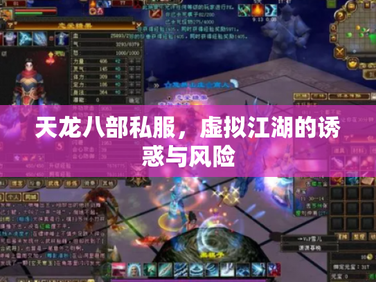 天龙八部私服，虚拟江湖的诱惑与风险