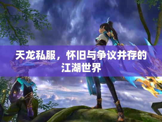 天龙私服，怀旧与争议并存的江湖世界