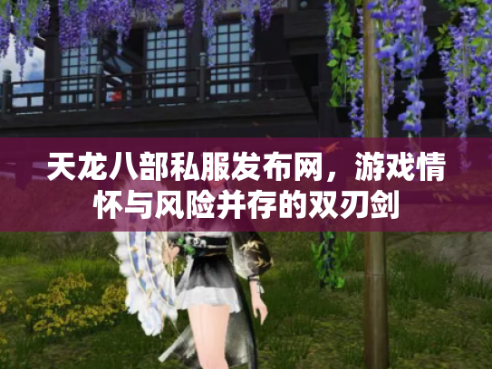 天龙八部私服发布网，游戏情怀与风险并存的双刃剑