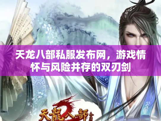 天龙八部私服发布网，游戏情怀与风险并存的双刃剑