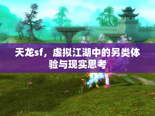 天龙sf，虚拟江湖中的另类体验与现实思考