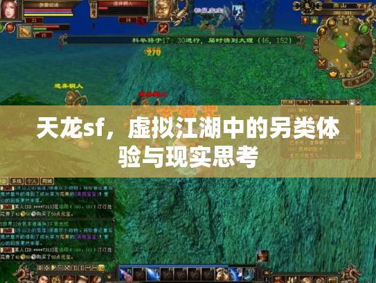 天龙sf，虚拟江湖中的另类体验与现实思考