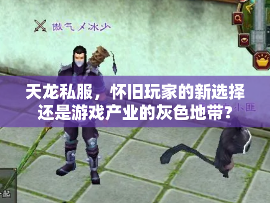 天龙私服，怀旧玩家的新选择还是游戏产业的灰色地带？