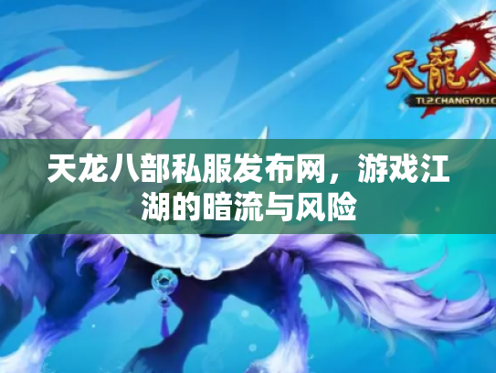 天龙八部私服发布网，游戏江湖的暗流与风险
