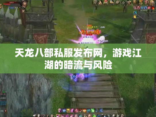 天龙八部私服发布网，游戏江湖的暗流与风险