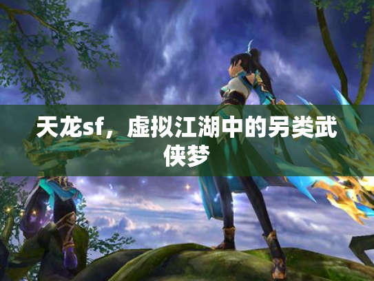 天龙sf，虚拟江湖中的另类武侠梦