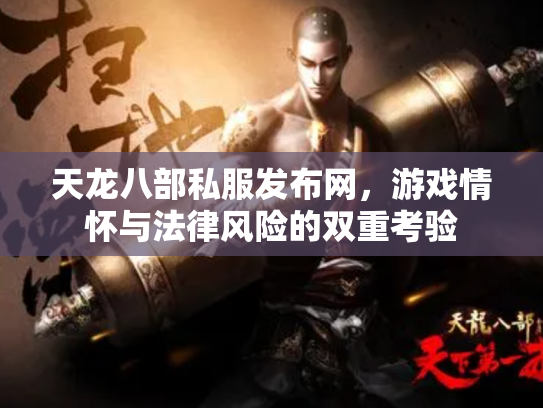 天龙八部私服发布网，游戏情怀与法律风险的双重考验