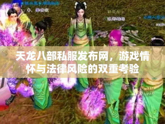 天龙八部私服发布网，游戏情怀与法律风险的双重考验