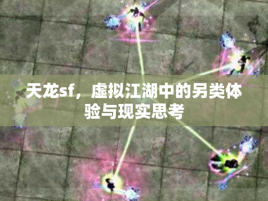 天龙sf，虚拟江湖中的另类体验与现实思考