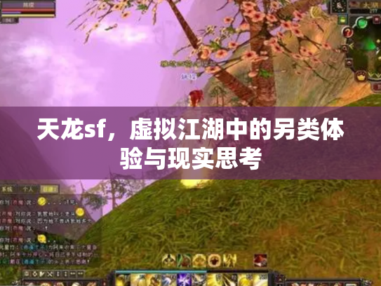 天龙sf，虚拟江湖中的另类体验与现实思考