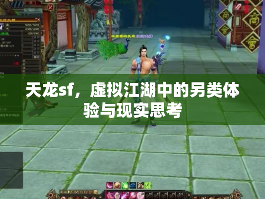 天龙sf，虚拟江湖中的另类体验与现实思考