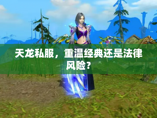 天龙私服，重温经典还是法律风险？