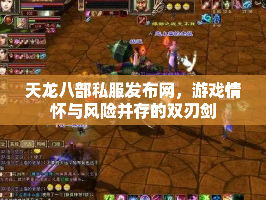 天龙八部私服发布网，游戏情怀与风险并存的双刃剑