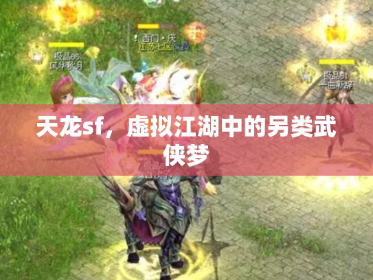 天龙sf，虚拟江湖中的另类武侠梦