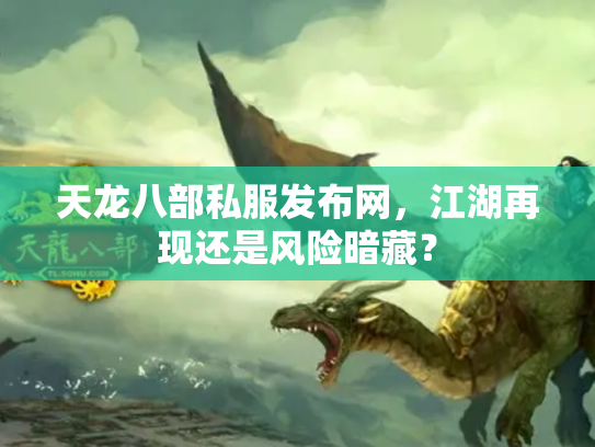 天龙八部私服发布网，江湖再现还是风险暗藏？