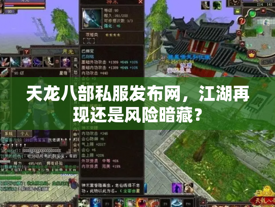 天龙八部私服发布网，江湖再现还是风险暗藏？