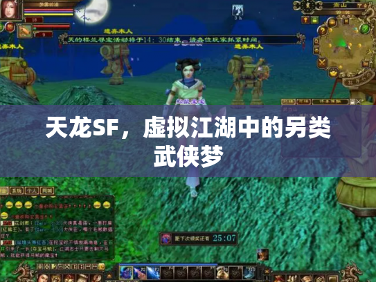天龙SF，虚拟江湖中的另类武侠梦