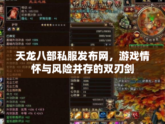天龙八部私服发布网，游戏情怀与风险并存的双刃剑