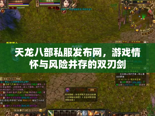 天龙八部私服发布网，游戏情怀与风险并存的双刃剑