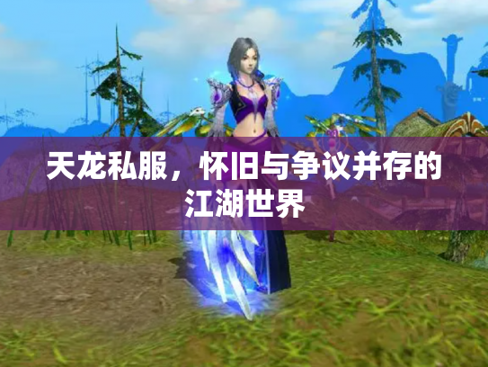 天龙私服，怀旧与争议并存的江湖世界