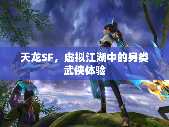 天龙SF，虚拟江湖中的另类武侠体验