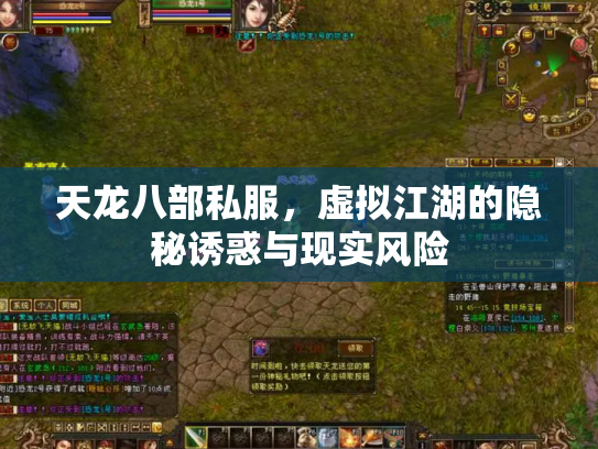 天龙八部私服，虚拟江湖的隐秘诱惑与现实风险