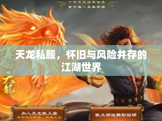 天龙私服，怀旧与风险并存的江湖世界