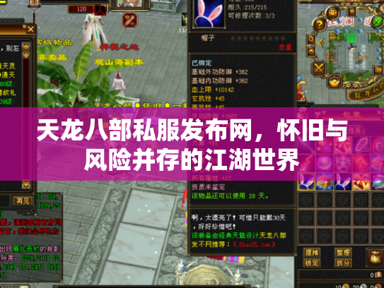 天龙八部私服发布网，怀旧与风险并存的江湖世界