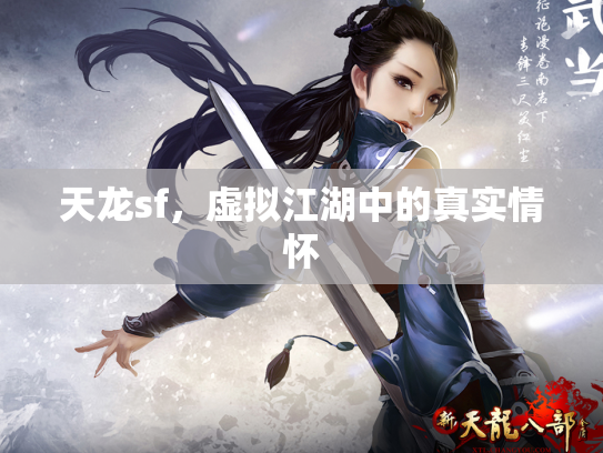 天龙sf，虚拟江湖中的真实情怀