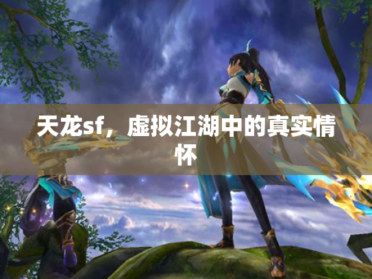 天龙sf，虚拟江湖中的真实情怀