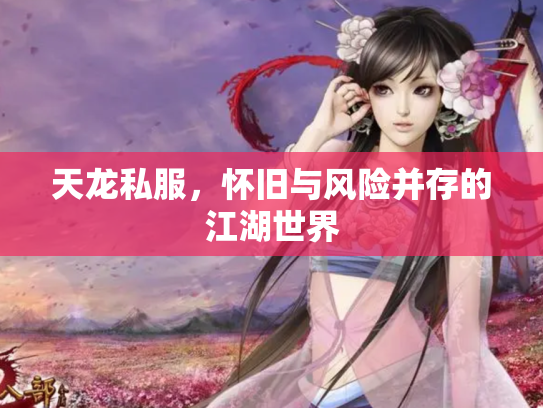 天龙私服，怀旧与风险并存的江湖世界