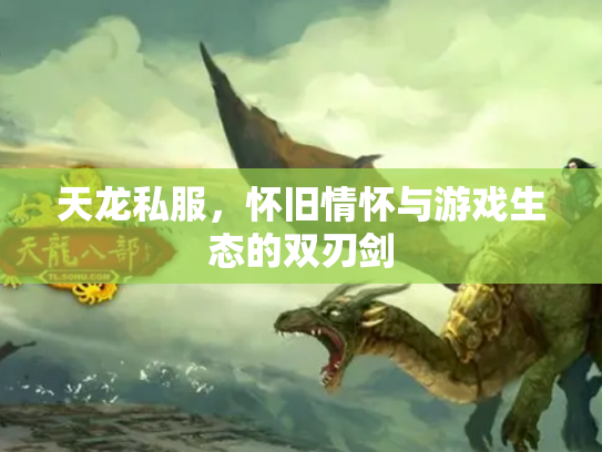 天龙私服，怀旧情怀与游戏生态的双刃剑