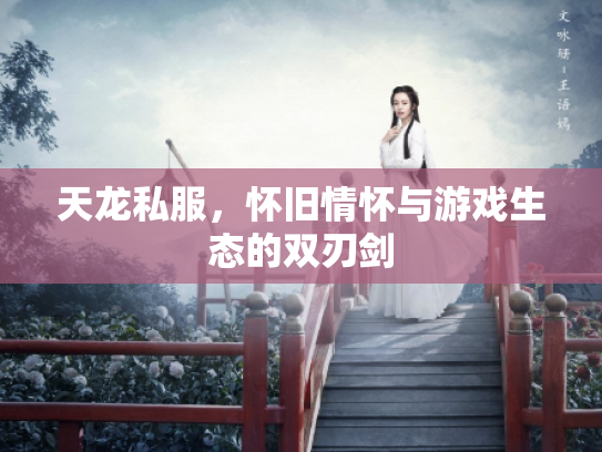 天龙私服，怀旧情怀与游戏生态的双刃剑