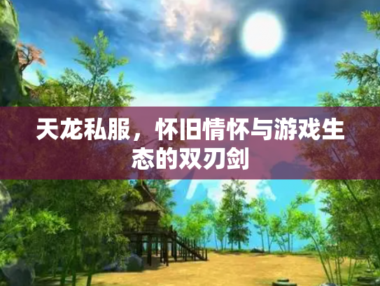 天龙私服，怀旧情怀与游戏生态的双刃剑