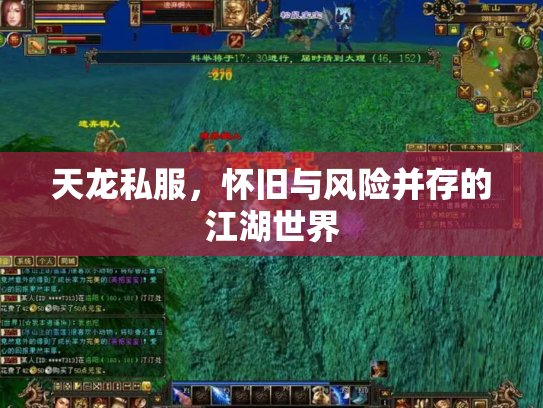 天龙私服，怀旧与风险并存的江湖世界