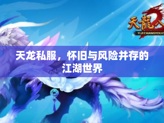 天龙私服，怀旧与风险并存的江湖世界