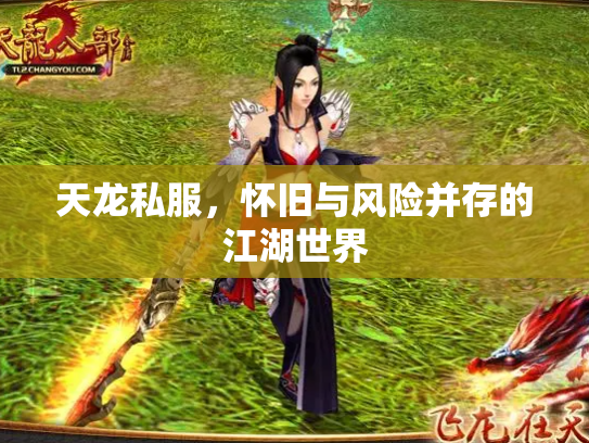 天龙私服，怀旧与风险并存的江湖世界