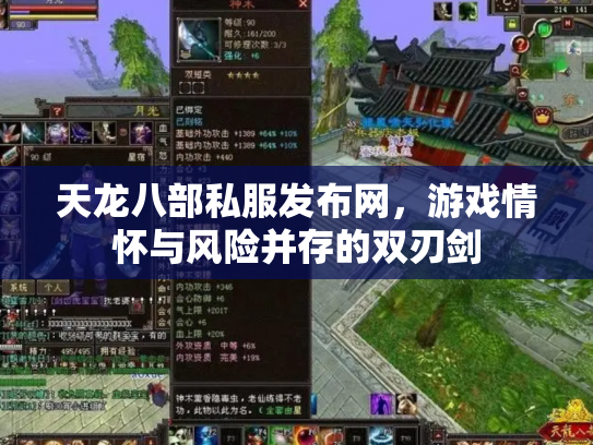天龙八部私服发布网，游戏情怀与风险并存的双刃剑