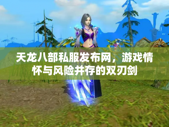 天龙八部私服发布网，游戏情怀与风险并存的双刃剑