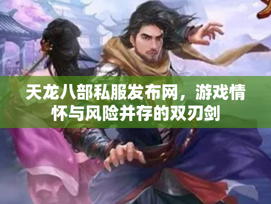 天龙八部私服发布网，游戏情怀与风险并存的双刃剑