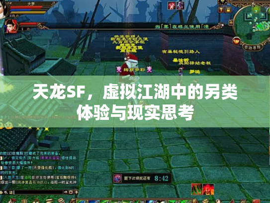 天龙SF，虚拟江湖中的另类体验与现实思考