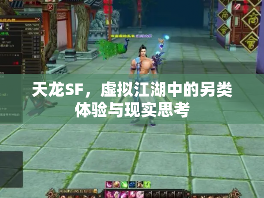 天龙SF，虚拟江湖中的另类体验与现实思考